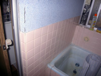 �肷��{�H�O