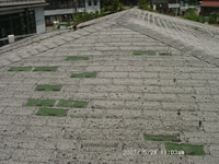 �����{�H�O